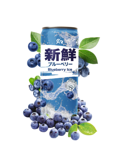 Fresh Drink Blueberry Ice 24 x 330 ml DPG