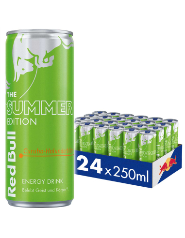 copy of Red Bull Winter Edition Birne Zimt 24 x 250 ml DPG