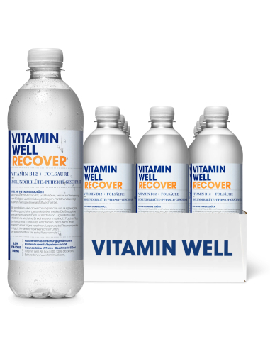 Vitamin Well Recover Holunderblüte Pfirsich 12 x 500 ml DPG